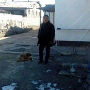 ���������� �������, ���� ������� �����, 69 ���, ������������ ��� ����� � ���������, c�������� ���������