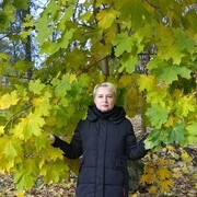 ���������� �����-���������, ���� ������� ���������, 49 ���, ������������ ��� c�������� ���������