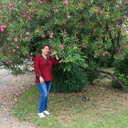 ���������� ������, ���� ������� ����, 44 ����, ������������ ��� ������, ����� � ���������, c�������� ���������