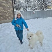 ���������� �����, ���� ������� ���������, 71 ���, ������������ ��� ����� � ���������, c�������� ���������