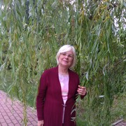 ���������� �������, ���� ������� �������, 68 ���, ������������ 