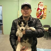 ���������� �����������, ���� ������� ������, 43 ����, ������������ ��� ������, ����� � ���������