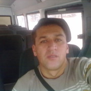  -,   , 41 ,   