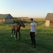 ���������� �����, ���� ������� �����, 34 ����, ������������ ��� ������, ����� � ���������, c�������� ���������, ���������