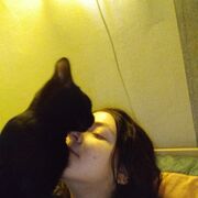 ���������� �����-���������, ���� ������� ��������, 28 ���, ������������ ��� ����� � ���������