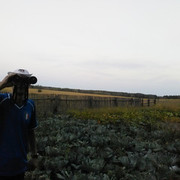 ���������� ������, ���� ������� �������, 42 ����, ������������ ��� ����� � ���������, c�������� ���������