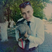  ,   , 29 ,   