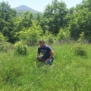 ���������� �����-���������, ���� ������� ����, 34 ����, ������������ 