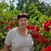 ���������� �������, ���� ������� ���, 63 ����, ������������ ��� c�������� ���������