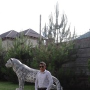  ,   Danik, 37 ,   ,   , c 