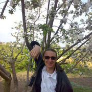 ���������� ������, ���� ������� ������������, 43 ����, ������������ ��� ������, ����� � ���������, c�������� ���������