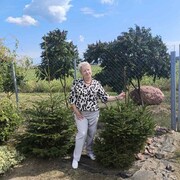 ���������� ����������, ���� ������� ������, 66 ���, ������������ ��� ����� � ���������, c�������� ���������