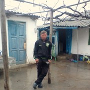 ���������� ����������, ������� ����, 44