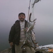  ,   Aydin, 45 ,     , c 