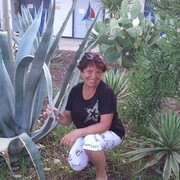   ,   , 65 ,   ,   , c 