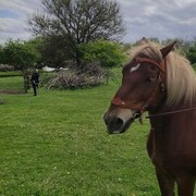 ���������� ��������������, ���� ������� �������, 39 ���, ������������ ��� ������, ����� � ���������, ���������