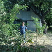 ���������� ������, ���� ������� �������, 49 ���, ������������ ��� ������, ����� � ���������, c�������� ���������