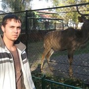  ,   Alex, 35 ,   