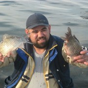 ���������� �������, ���� ������� �����, 44 ����, ������������ ��� ������, ����� � ���������, c�������� ���������