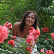  ,   , 52 ,   