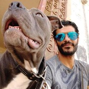  ,   Sayed, 41 ,   ,   , c , 