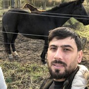  Rheinberg,   Teymur, 37 ,   ,   
