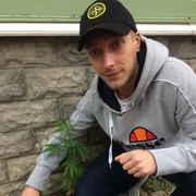 ���������� �������, ���� ������� �����, 33 ����, ������������ ��� ������, ����� � ���������, c�������� ���������