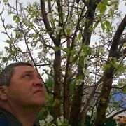 ���������� ���������, ���� ������� ������, 61 ���, ������������ ��� ������, ����� � ���������, c�������� ���������