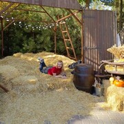 ���������� ������-��-����, ���� ������� ������, 51 ���, ������������ ��� ������, ����� � ���������, c�������� ���������, ���������