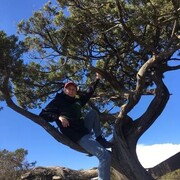 ���������� ���������, ���� ������� ����, 26 ���, ������������ ��� ������, ����� � ���������, c�������� ���������, ���������