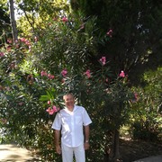  ,   , 57 ,   ,   , c 