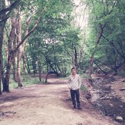  ,   , 40 ,   ,   