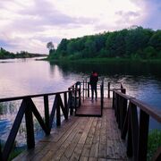 ���������� �����-���������, ���� ����� ��������, 24 ����, ������������ ��� ������, ����� � ���������