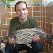 ���������� �������, ���� ������� Igori, 50 ���, ������������ ��� ������