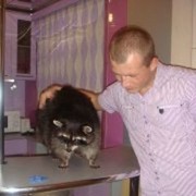  ,   MIKE, 41 ,   ,   , c 