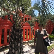 ���������� �����, ���� ������� ���, 65 ���, ������������ ��� ������, ����� � ���������, c�������� ���������