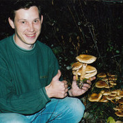  ,   , 52 ,   ,   , c 