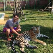 ���������� �����������, ���� ������� �������, 38 ���, ������������ ��� ����� � ���������, c�������� ���������