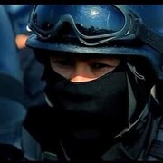 ���������� �����, ���� ������� Gayrat, 33 ����, ������������ ��� ������, ����� � ���������, c�������� ���������