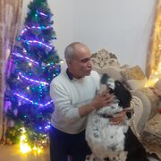  ,   , 61 ,   c 