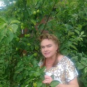  -,   , 51 ,   ,   , c 