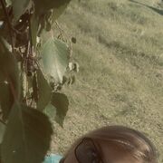  ,   , 34 ,     , c , 