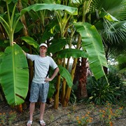 ���������� ���, ���� ������� ��������, 35 ���, ������������ ��� ������, ����� � ���������, c�������� ���������