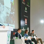 ���������� �����-���������, ���� ������� ����, 33 ����, ������������ ��� ������, ����� � ���������