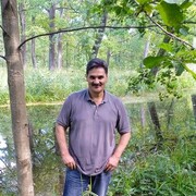  -,   , 51 ,   ,   