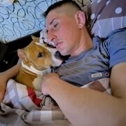 ���������� ����������, ������� �����, 37