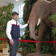 ���������� ������, ���� ������� Mayrambek, 40 ���, ������������ ��� ������, ����� � ���������