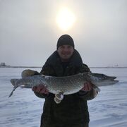 ���������� ������������, ���� ������� �������, 39 ���, ������������ ��� ������, ����� � ���������