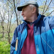 ���������� ������, ���� ������� �������, 62 ����, ������������ ��� ����� � ���������, c�������� ���������