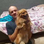  ,   , 47 ,   , 